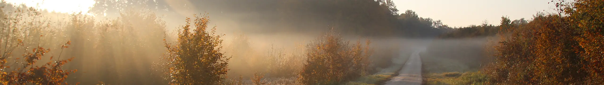 Általános tájékoztató